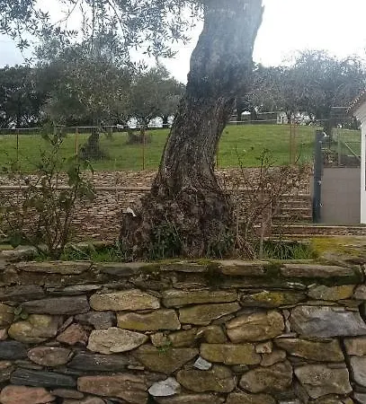 El Berezal *