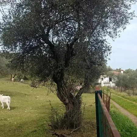 El Berezal * Aracena