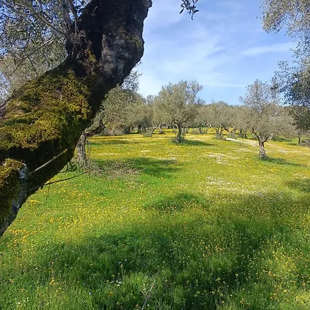 El Berezal Aracena